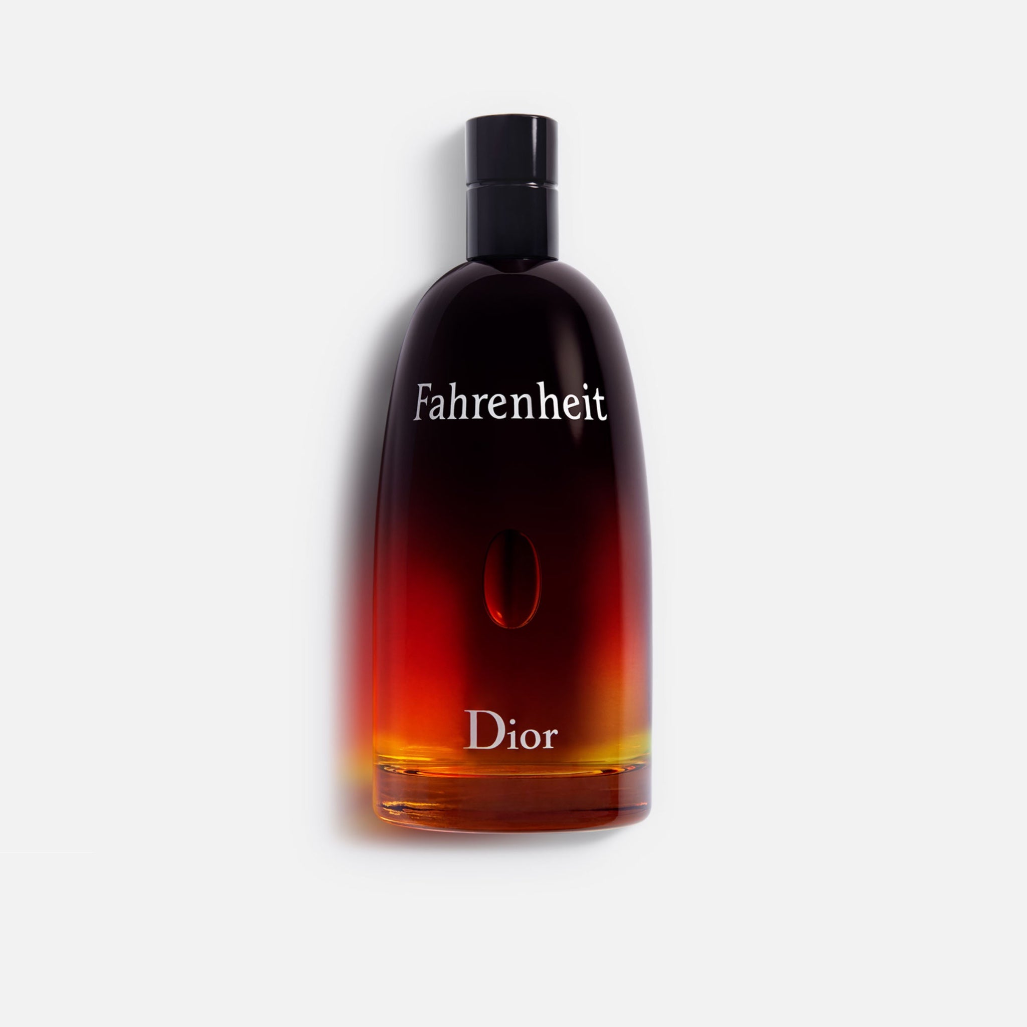 Dior Fahrenheit Men's Eau de Toilette - 100ml – bottle